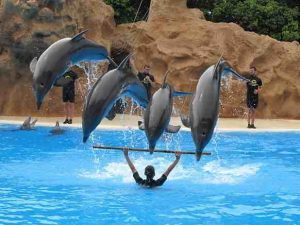admin/uploaded/tours_img/1754987588dQNqP1BEyw1ex34Bt3hs.jpg
